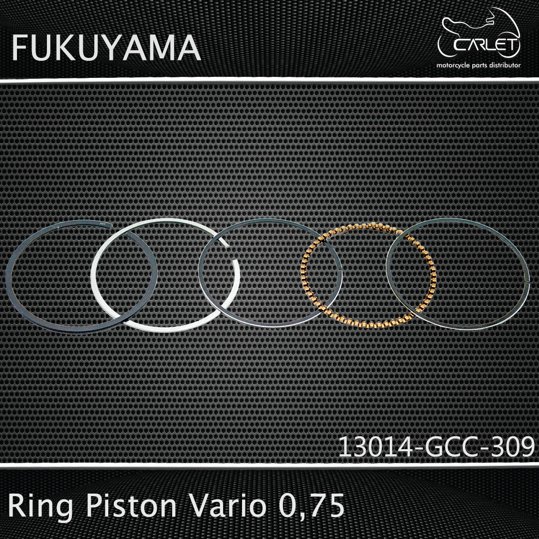 Fukuyama Ring Seher / Ring Piston Vario 110 / Vario Techno 110